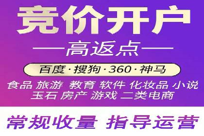 充值高返点案例研究：如何实现最大化收益